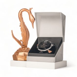 DIAMOND CREAM (SEASHELL)