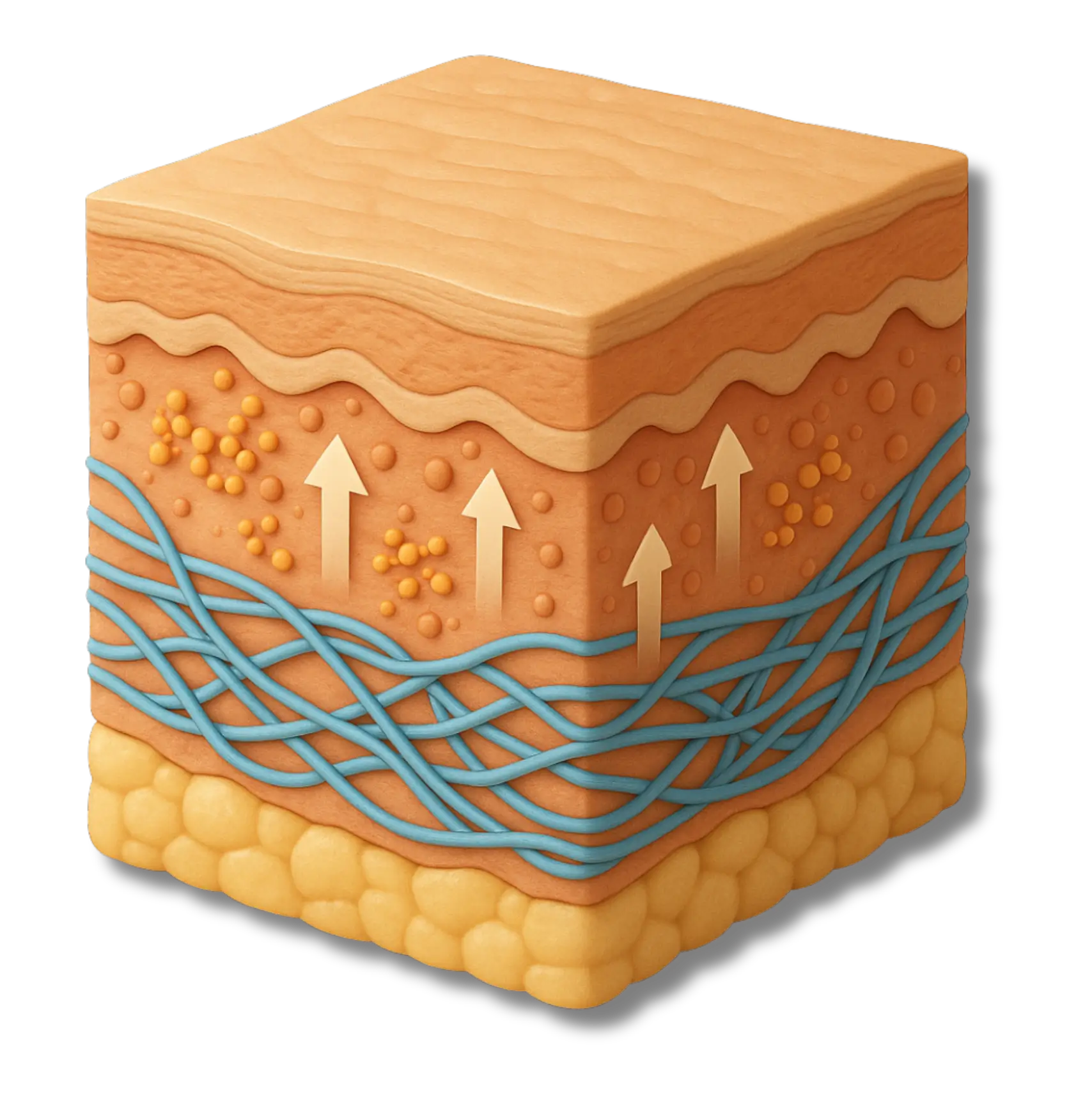 Marine Collagen Meso